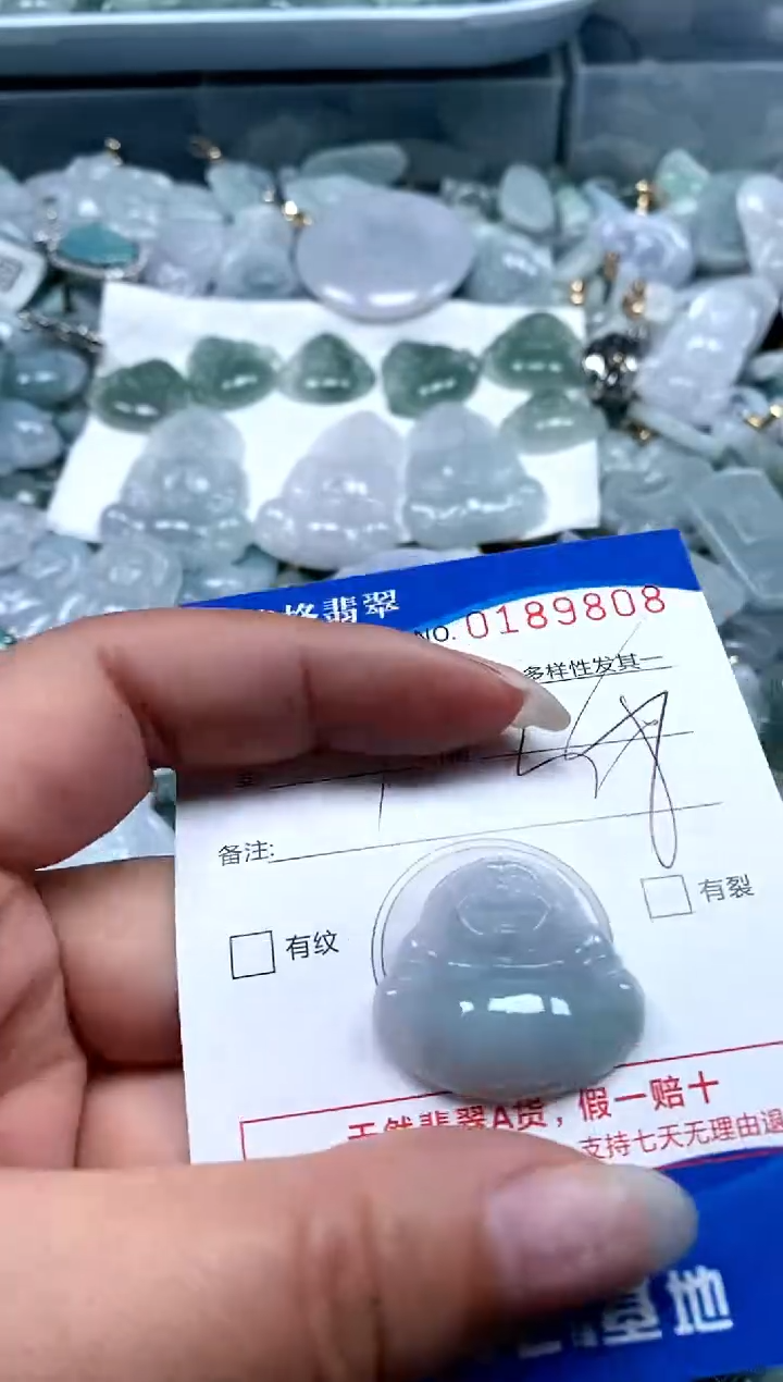 【闪购商品】翡翠颈饰未镶嵌闪购商品0189808