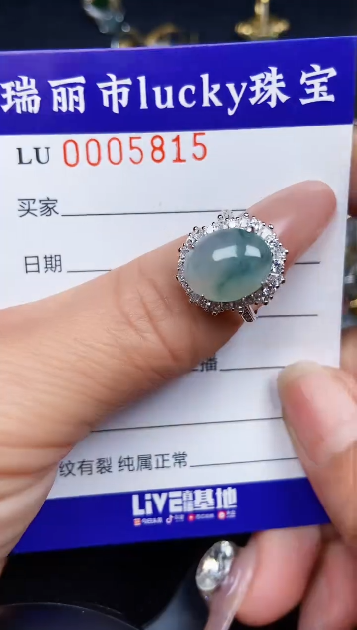 翡翠银S925镶嵌颈饰5815