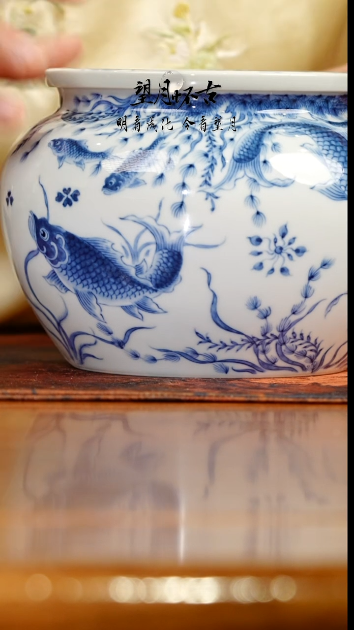 望月怀古青花鱼藻纹罐