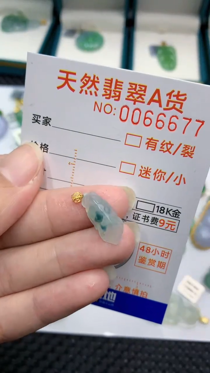 【闪购商品】翡翠颈饰18K金镶嵌            8