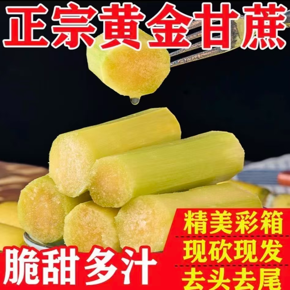 云南黄金甘蔗现砍现发清甜多汁炖汤煮水肉质松软新鲜应季水果甘蔗