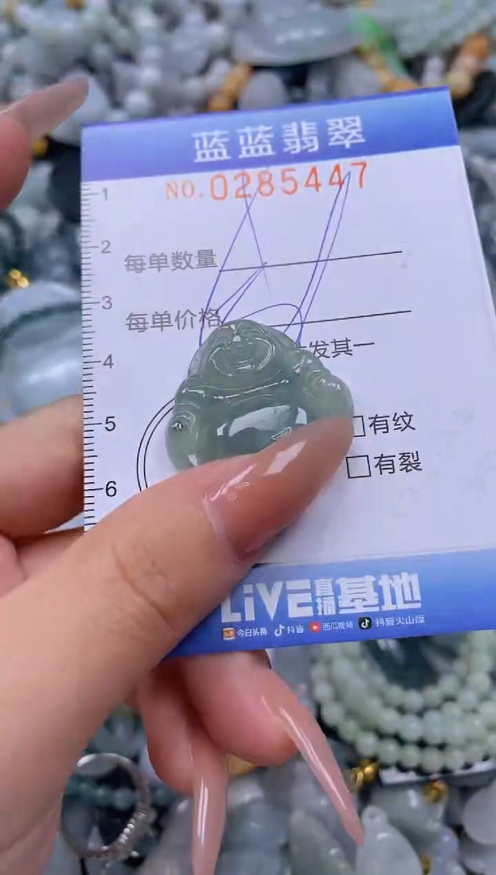 翡翠未镶嵌颈饰闪购0285447多样性发其一