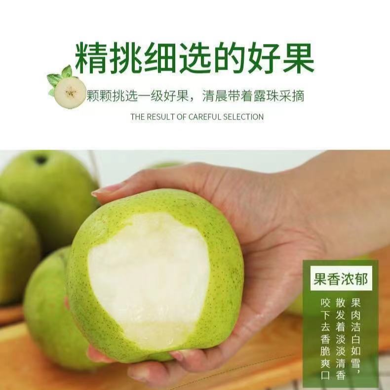 青皇冠梨新鲜采摘清甜多汁4.5斤食用皮薄饱满香脆细腻汁水