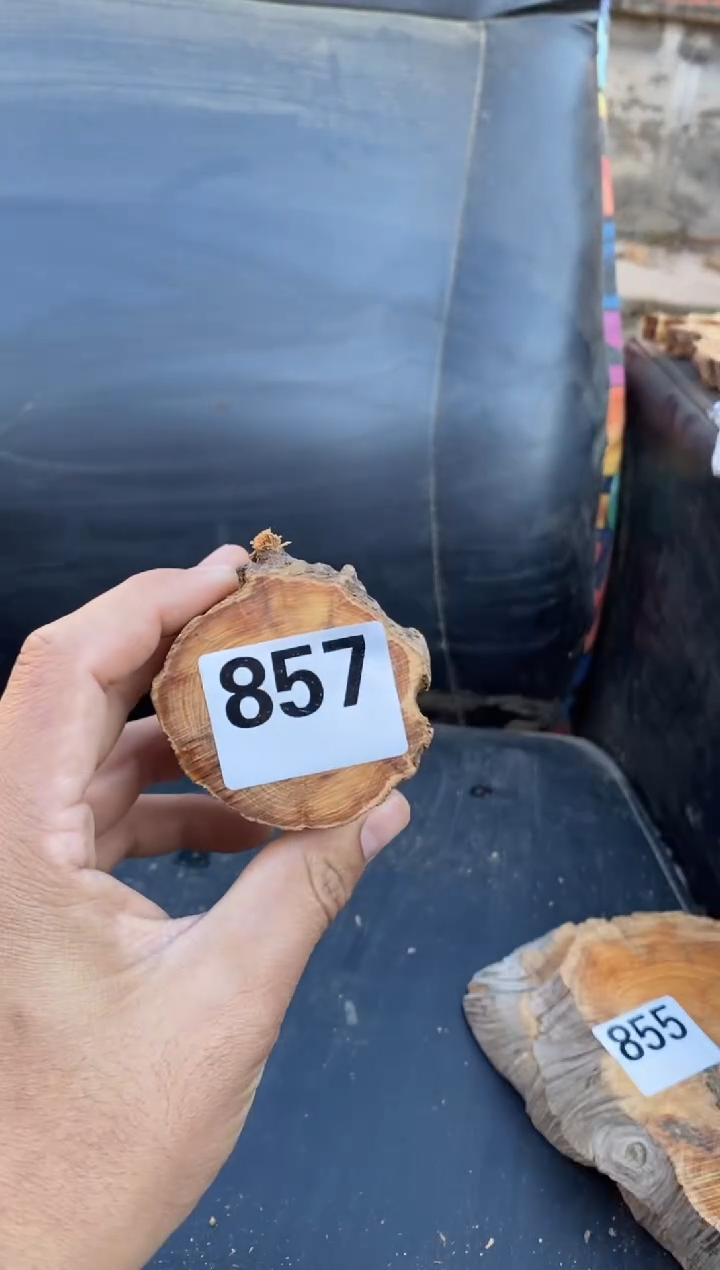 柏木（崖柏）太行陈化崖柏切片！随机（1单1片）857