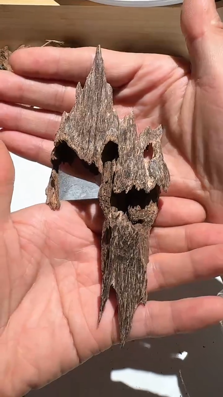 【闪购商品】沉香手把件海南虫漏20.3g