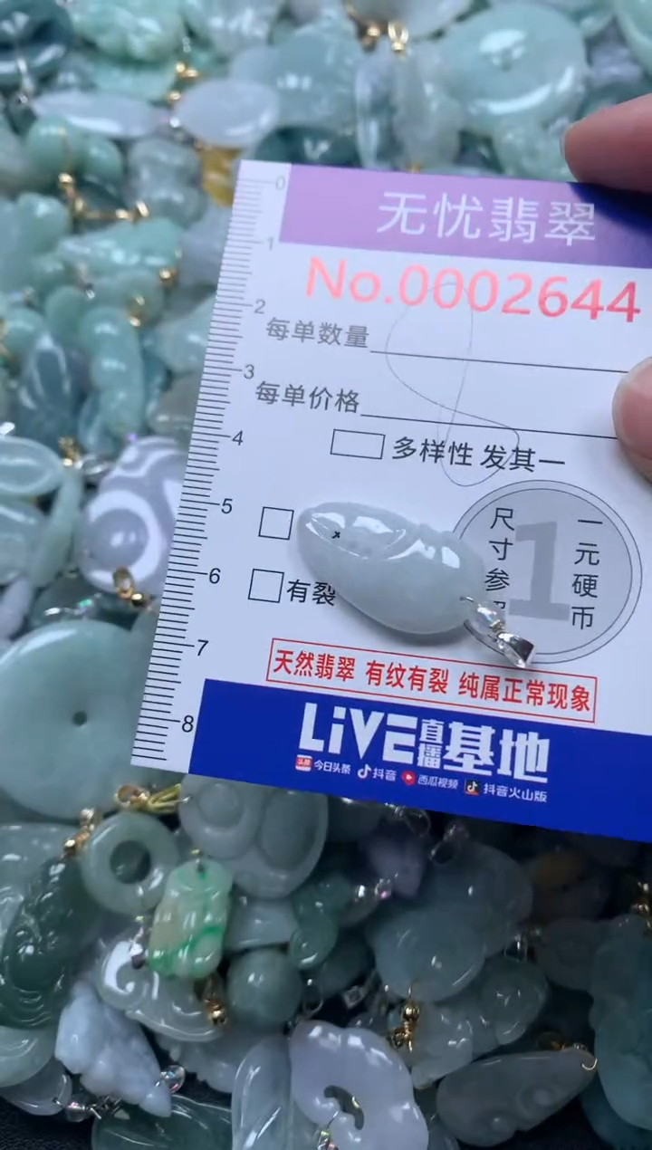 颈饰未镶嵌翡翠2644