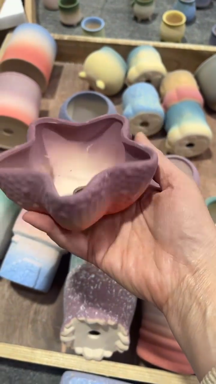 【闪购商品】红陶9*5