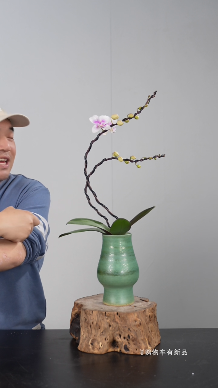 【闪购商品】03210号链接【一物一拍】艺术盆景