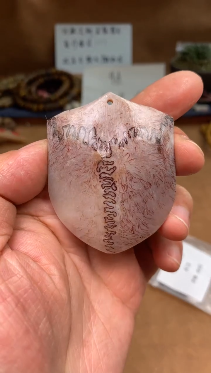 【闪购商品】鹿骨其他母鹿三界A13