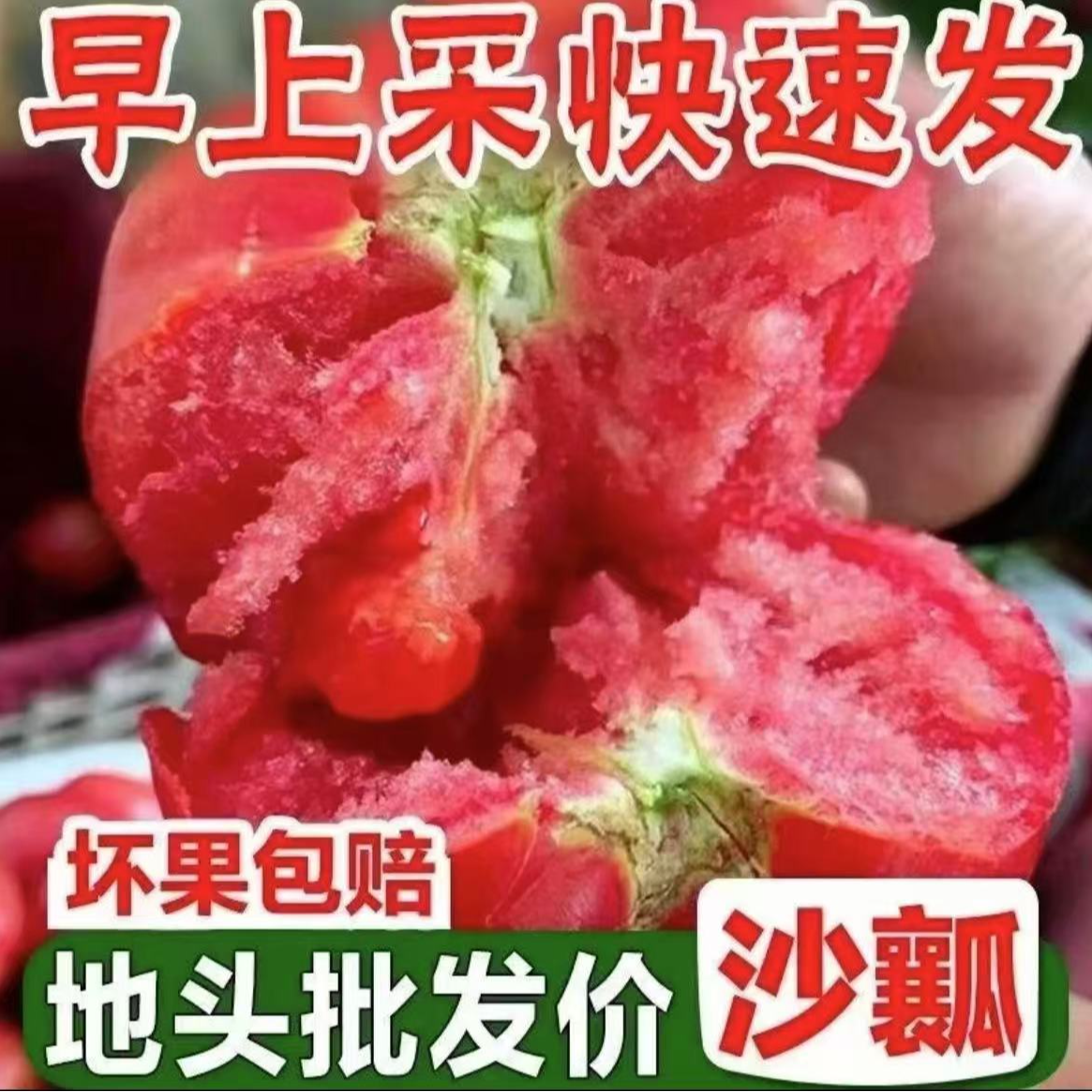【新鲜】沙瓤西红柿自然熟农家露天沙瓤新鲜现摘番茄水果带箱5斤ZZ