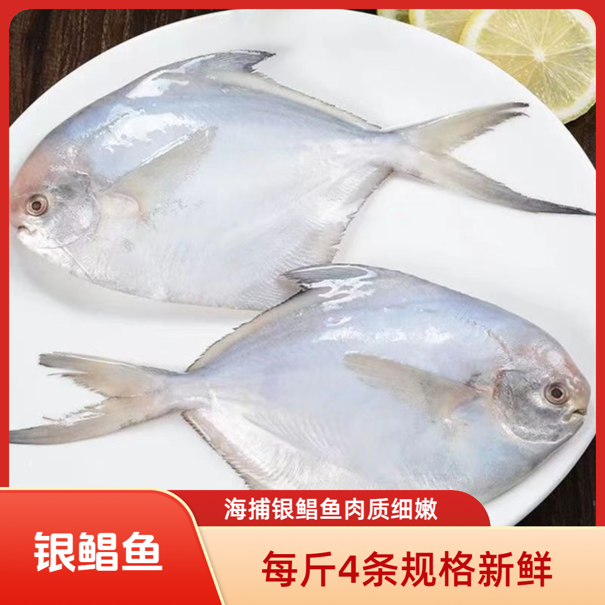 4条/斤海捕银鲳鱼3斤新鲜银鲳鱼白鲳鱼肉质细嫩扁平鱼海鲜清蒸