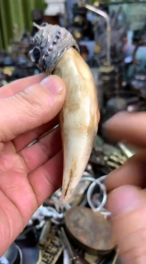 【闪购商品】一物一拍编号牙牙
