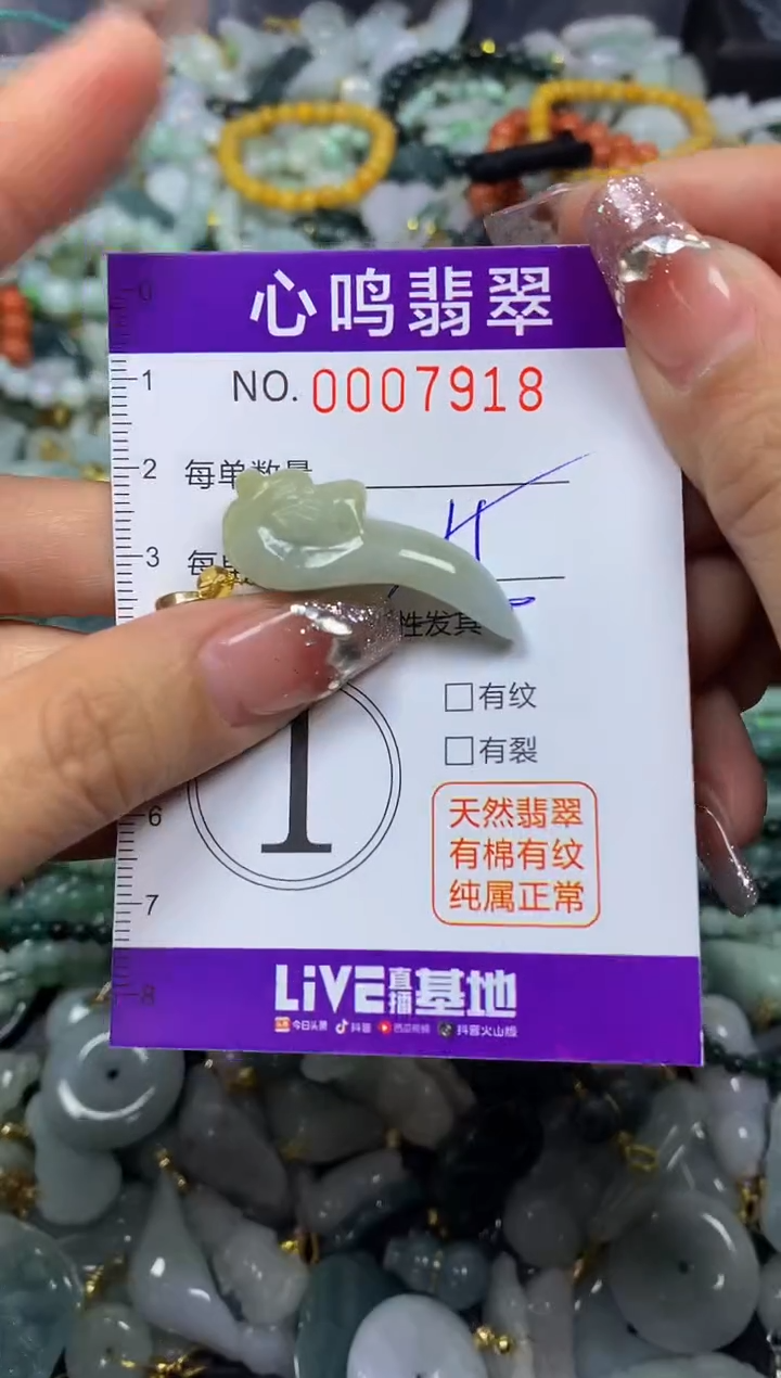 【闪购商品】翡翠颈饰未镶嵌闪购007918