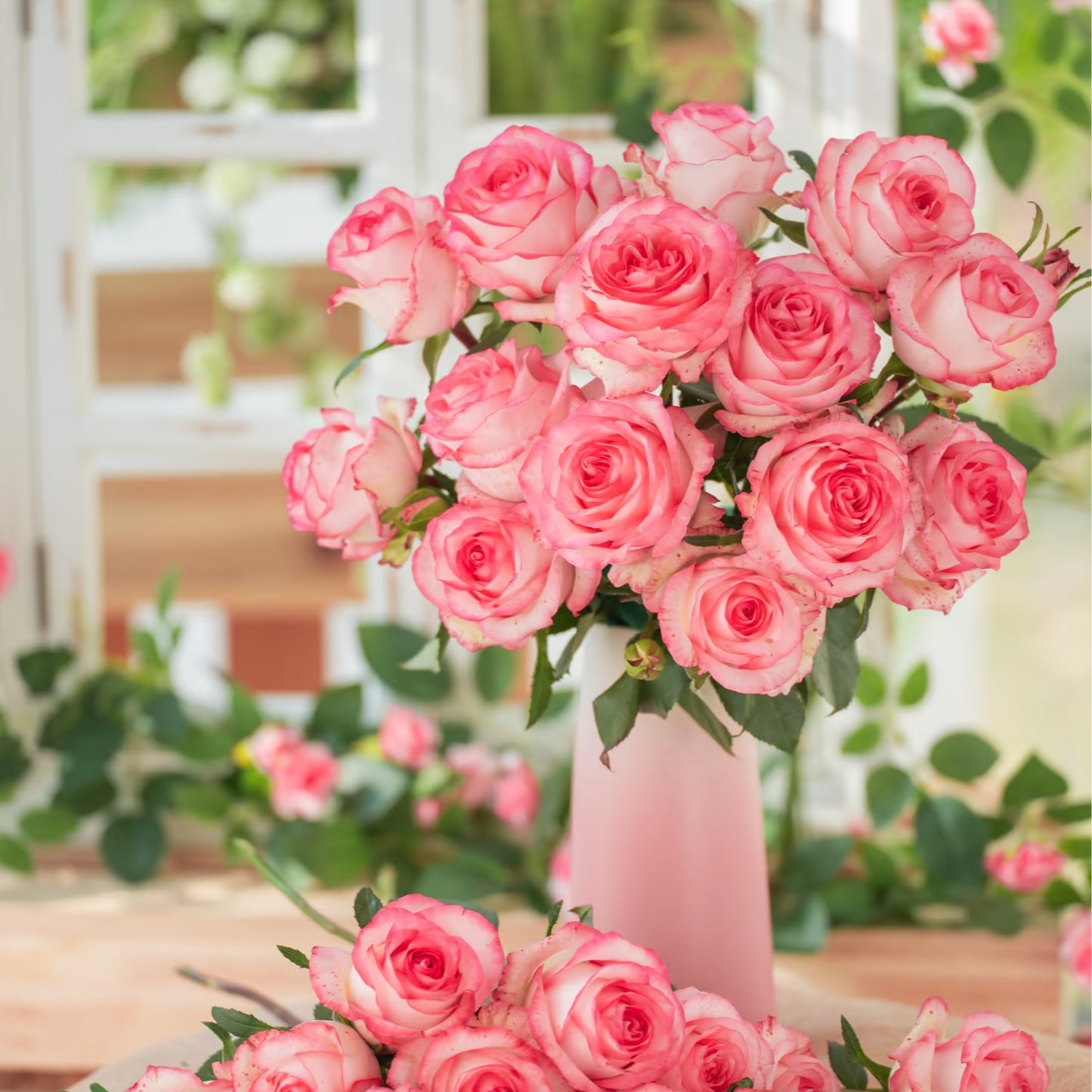 【艾莎公主 10支】  任意2单升级顺丰/德邦