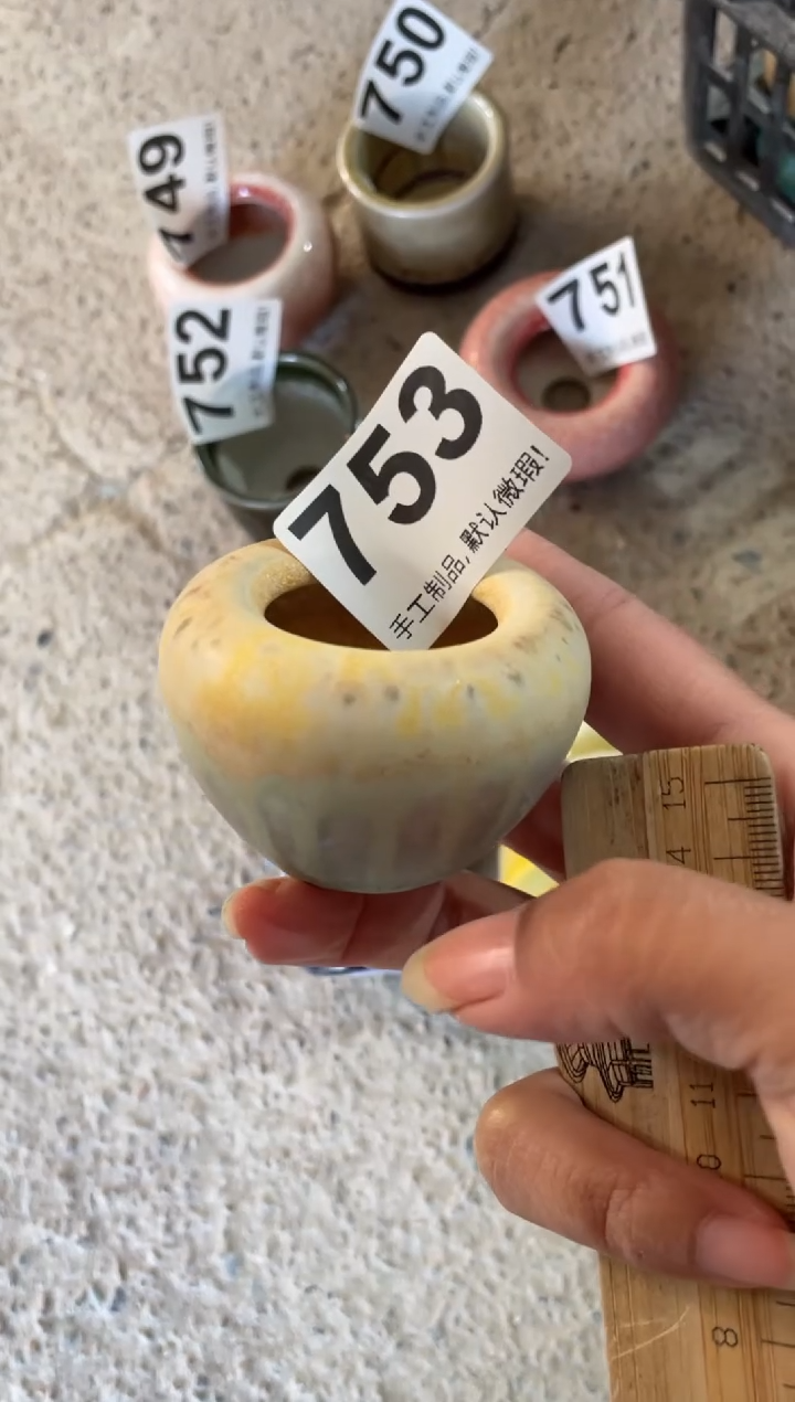 瓷片A***n753福利知木小芳花盆