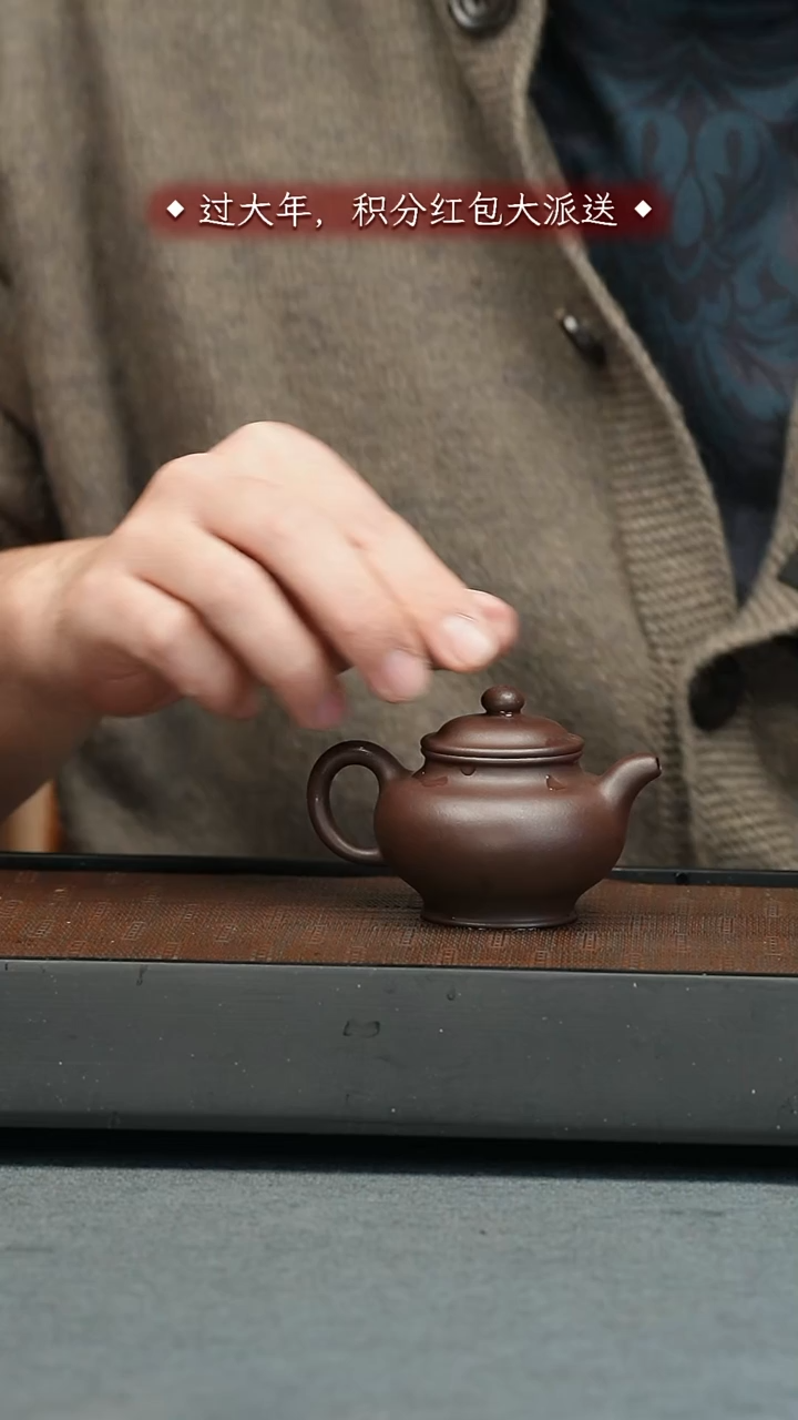 【闪购商品】紫砂茶壶五堂 掇只-许四海藏