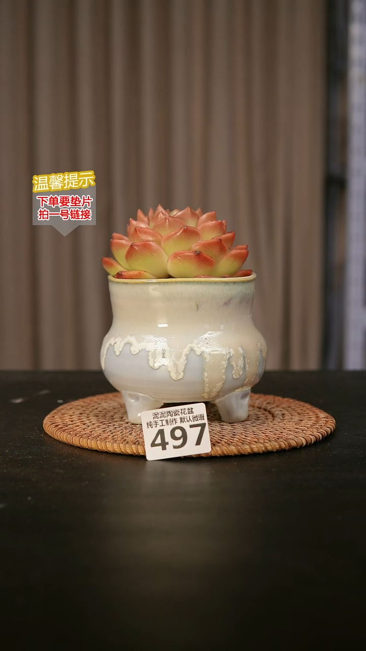 瓷片497内口径约 9 外高约9