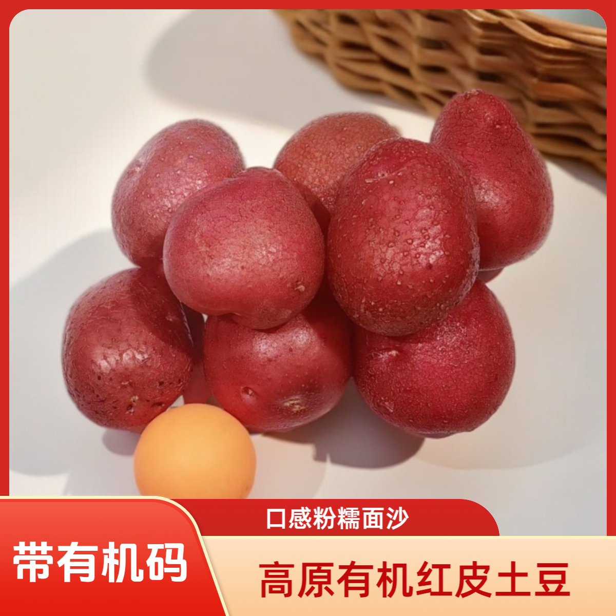 高原有机红皮土豆迷你7斤(李琬有机菜)