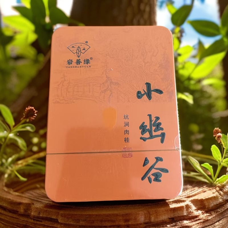交个朋友丨小幽谷坑涧肉桂铁品鉴