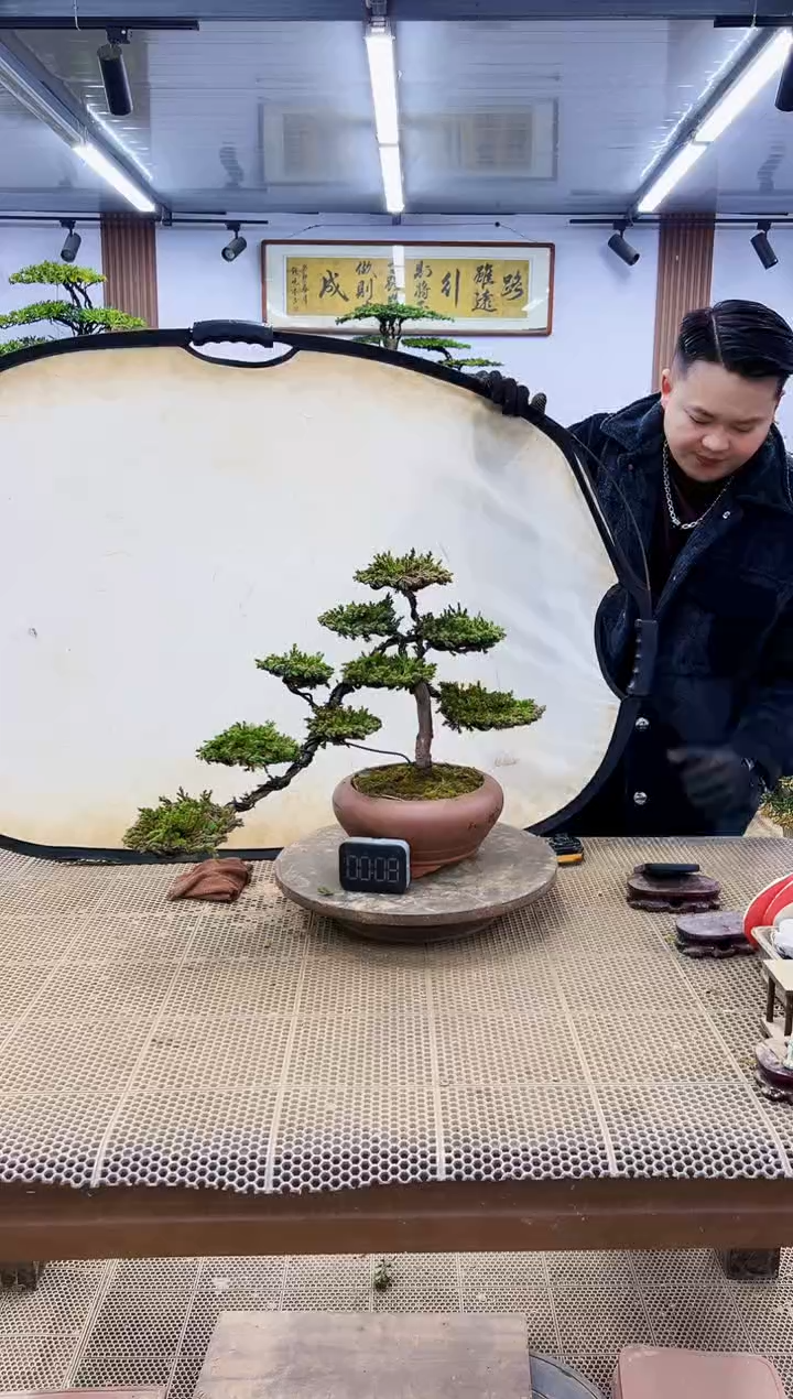 【闪购商品】00000000