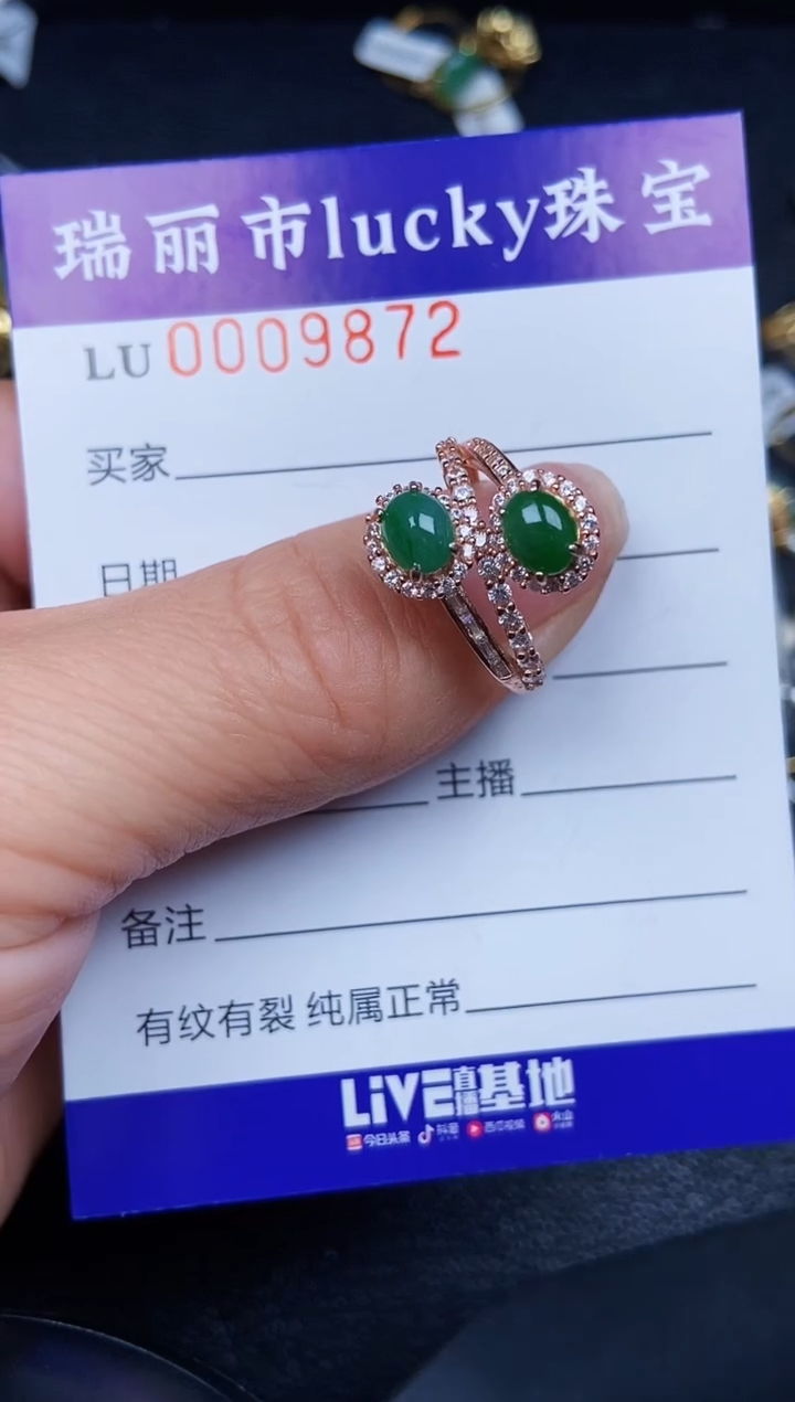 翡翠银S925镶嵌颈饰9872