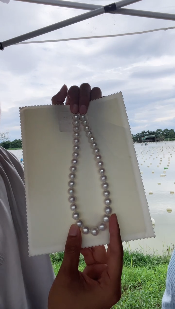 淡水珍珠银S925镶嵌颈饰凤凰11-13mm