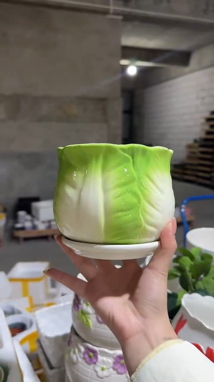 【闪购商品】陶瓷+Z7