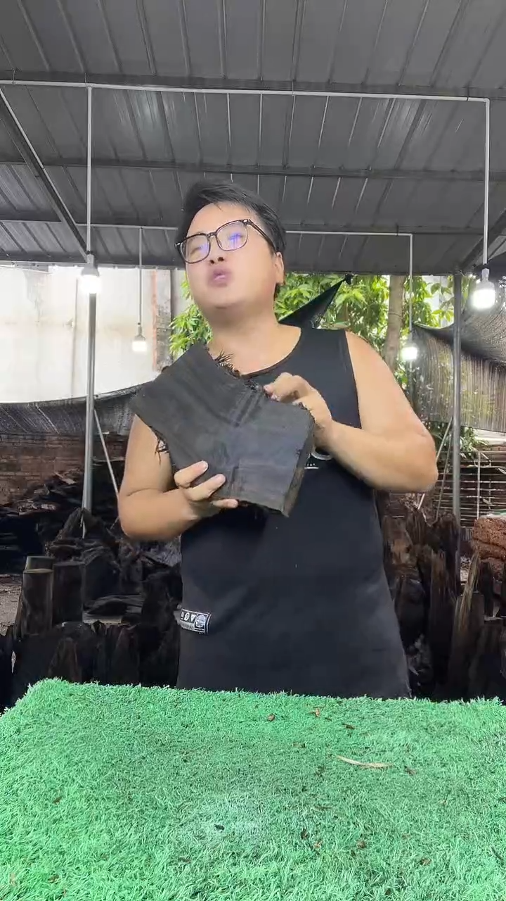 金丝楠小叶桢楠218