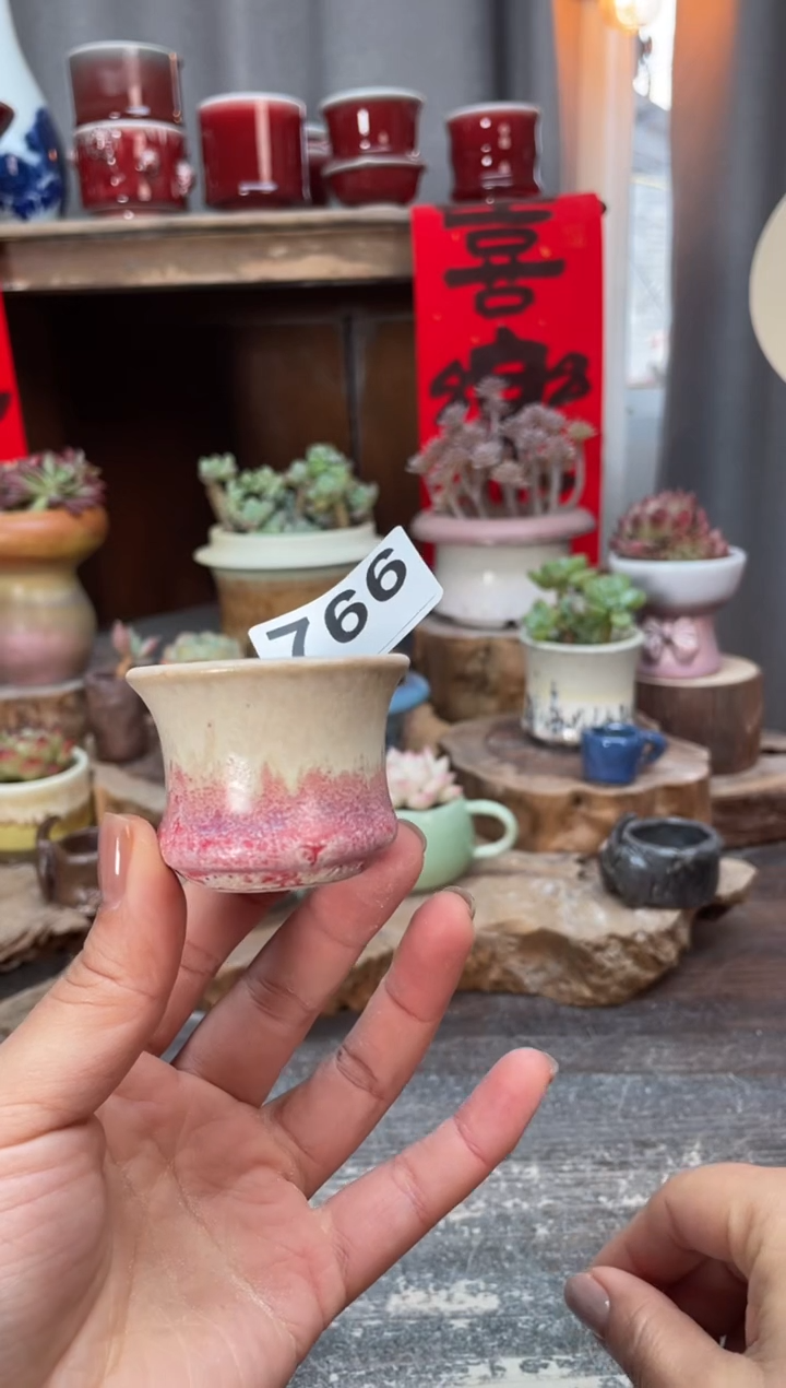 【闪购商品】摆件766知木小芳花盆