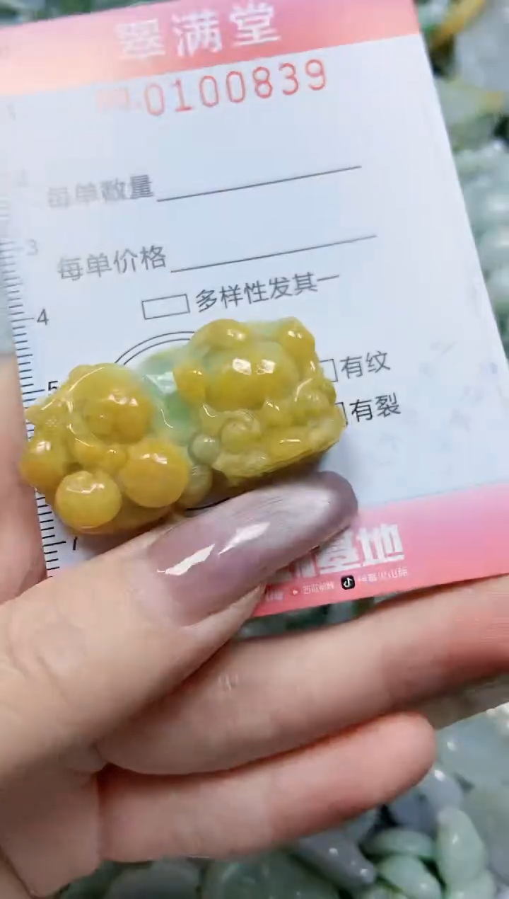 【闪购商品】翡翠颈饰未镶嵌闪购0100839