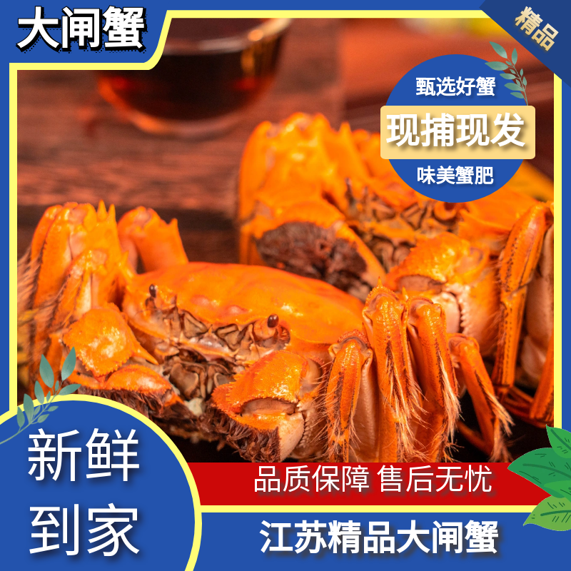 【活蟹】江苏精品大闸蟹全母蟹母4.5-4.2两加2只到手10/8只
