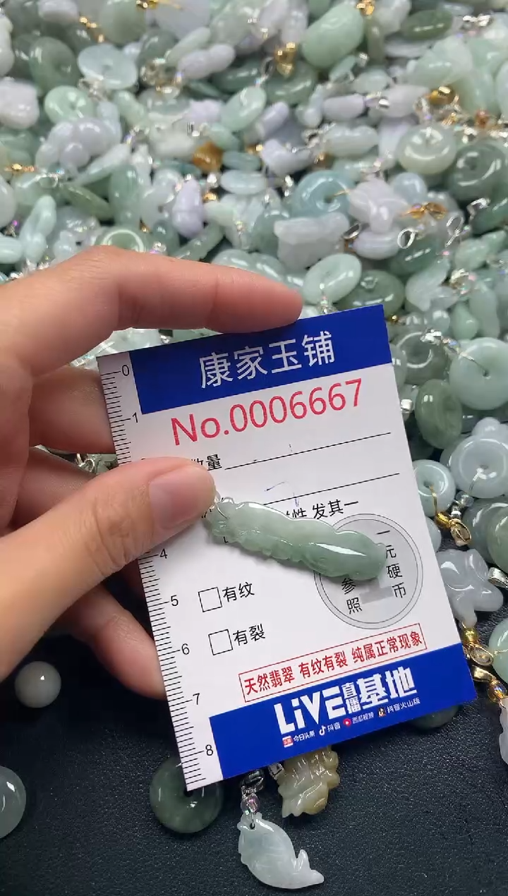 吊坠(不含链)未镶嵌翡翠6667
