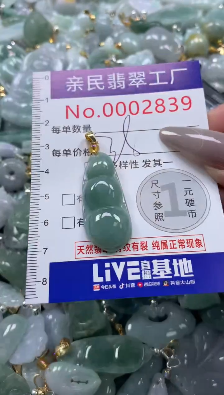 颈饰未镶嵌翡翠2839