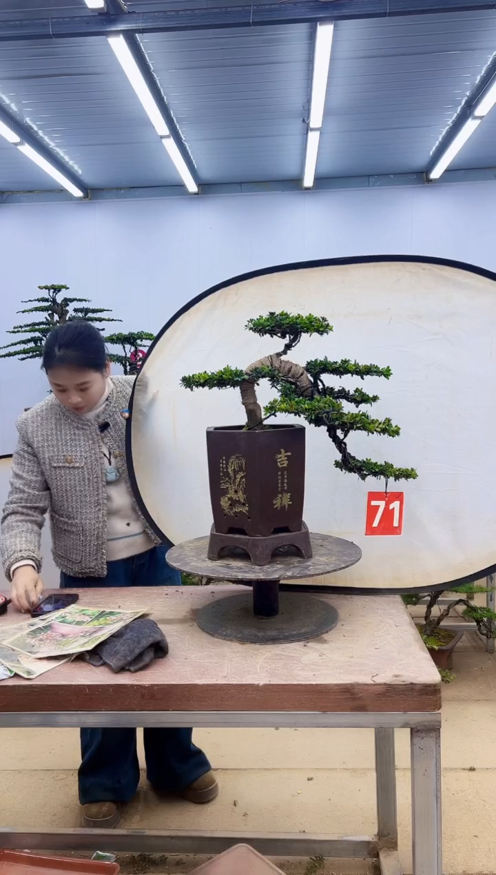 无花朵花*?一物一拍，所见即所得