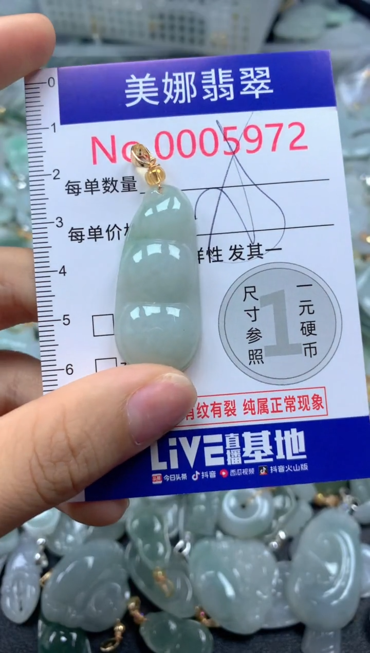 颈饰未镶嵌翡翠5972