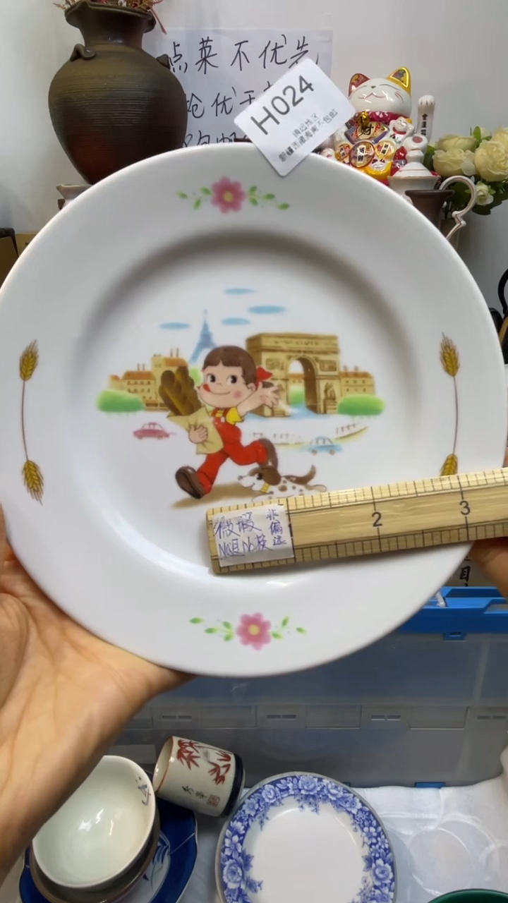 瓷片-H-         024