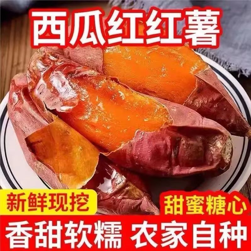 西瓜红蜜薯软糯香甜红心干面红薯西瓜红红薯