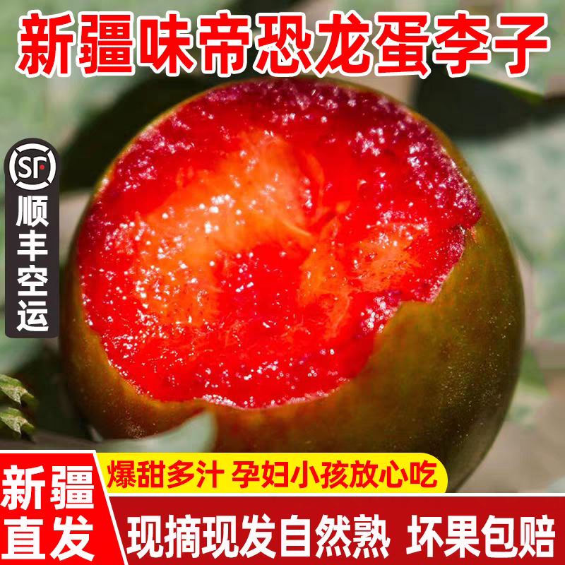 【DR顺丰次日达】空运到货新疆恐龙蛋李子 拍2斤发3斤次日达新疆维吾尔自治区