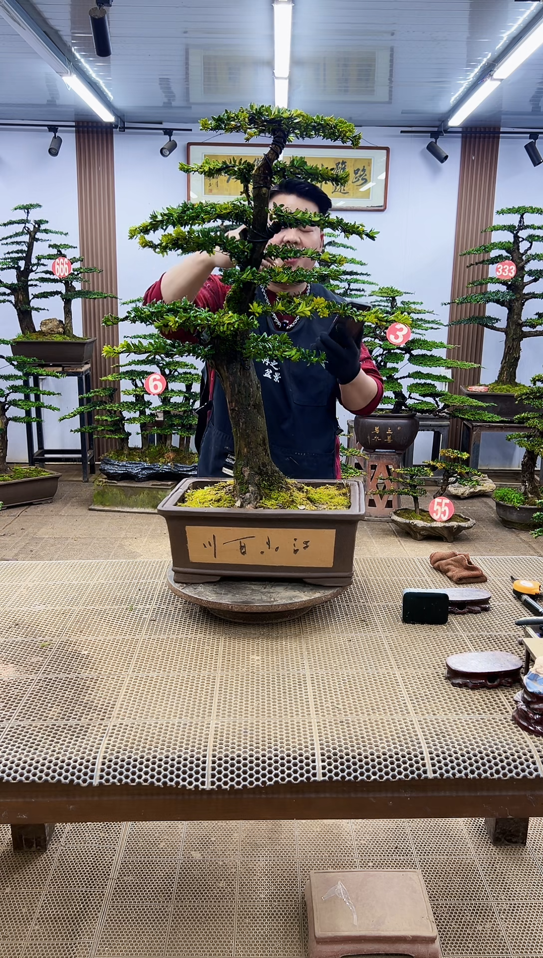 【闪购商品】00000000