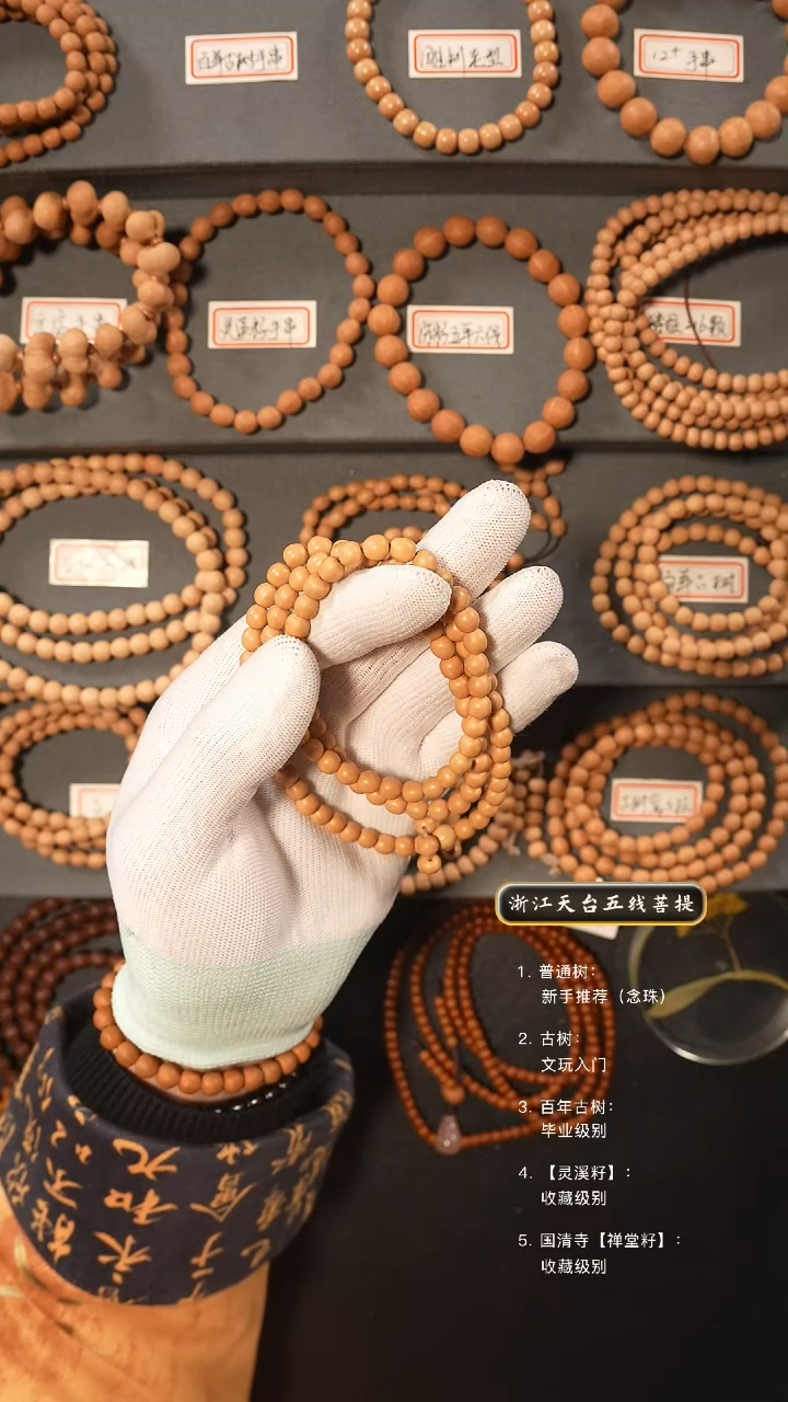 【闪购商品】五线菩提吊坠百年古树籽去皮脖挂6左右尺寸