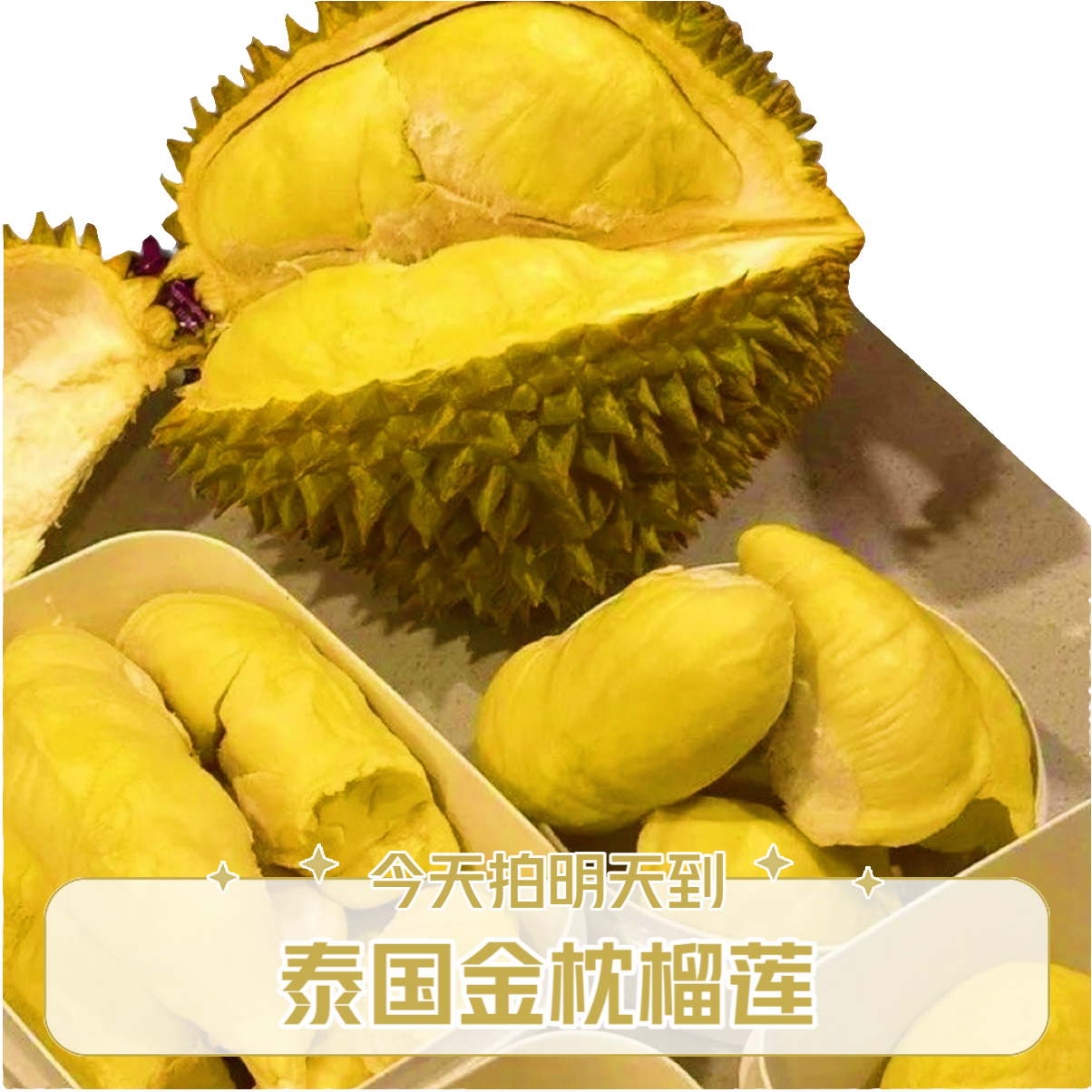 【*泰国精选老树金枕】特级金枕新鲜榴莲斤皮薄核小肉厚饱满带壳整颗鲜果老树软糯香甜榴莲金枕泰国东部