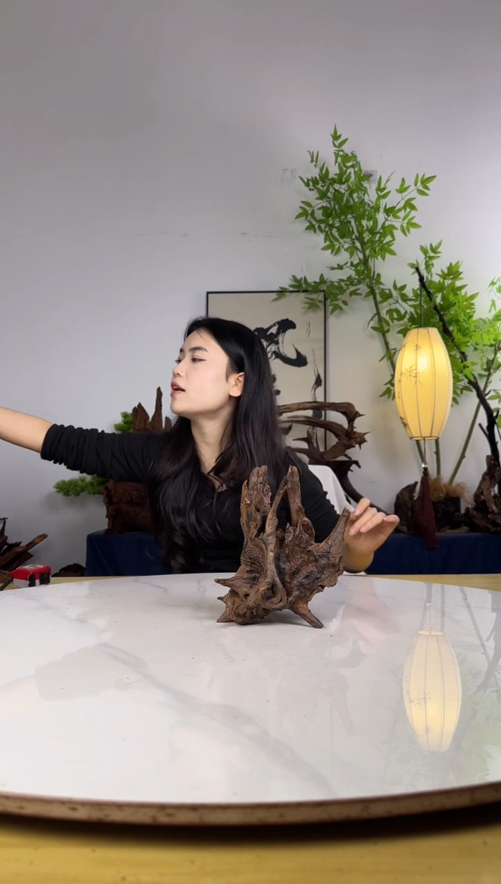 小*拍沉木定向链接编号46