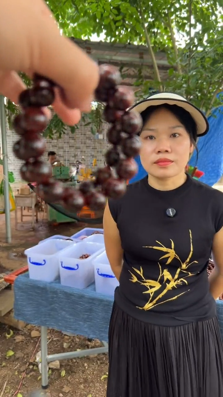 黄花梨/降香黄檀海南黄花梨1.5油梨手串