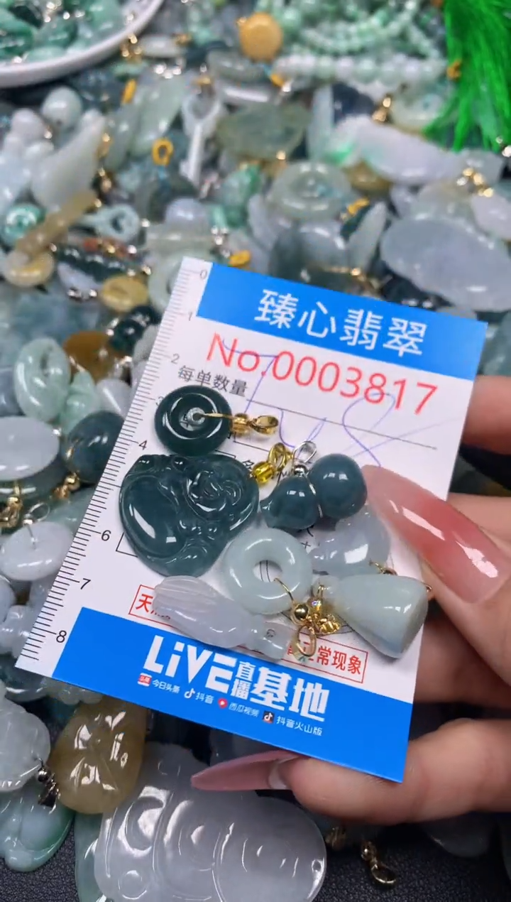 【闪购商品】翡翠颈饰未镶嵌含绳0003817