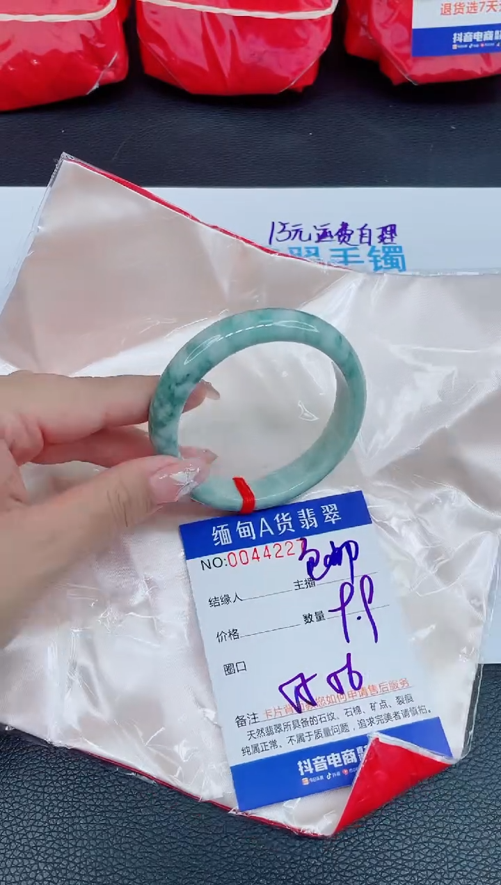 未镶嵌手镯翡翠0282853068