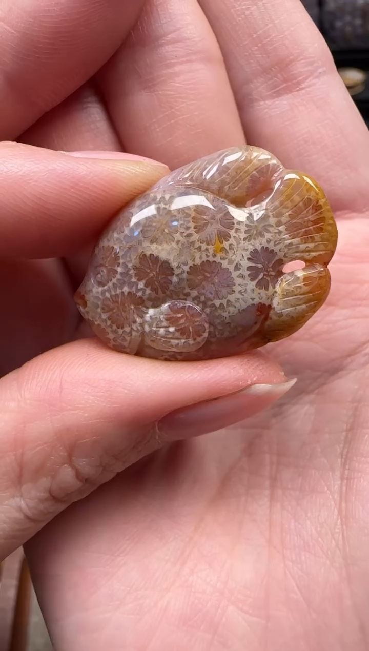 颈饰未镶嵌硅化珊瑚（珊瑚玉）202