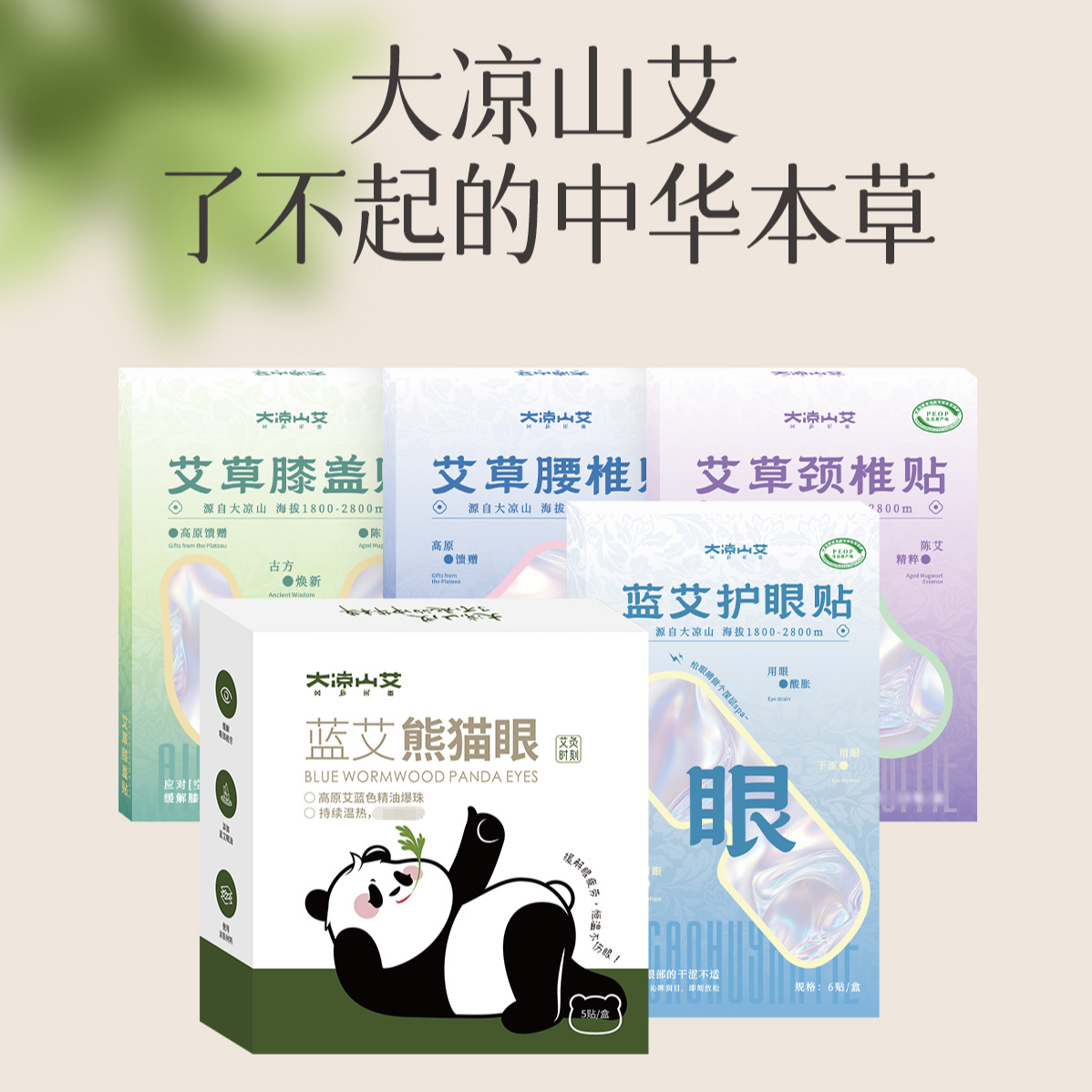 大凉山艾高原艾草贴5盒装 草本渗透缓解不适