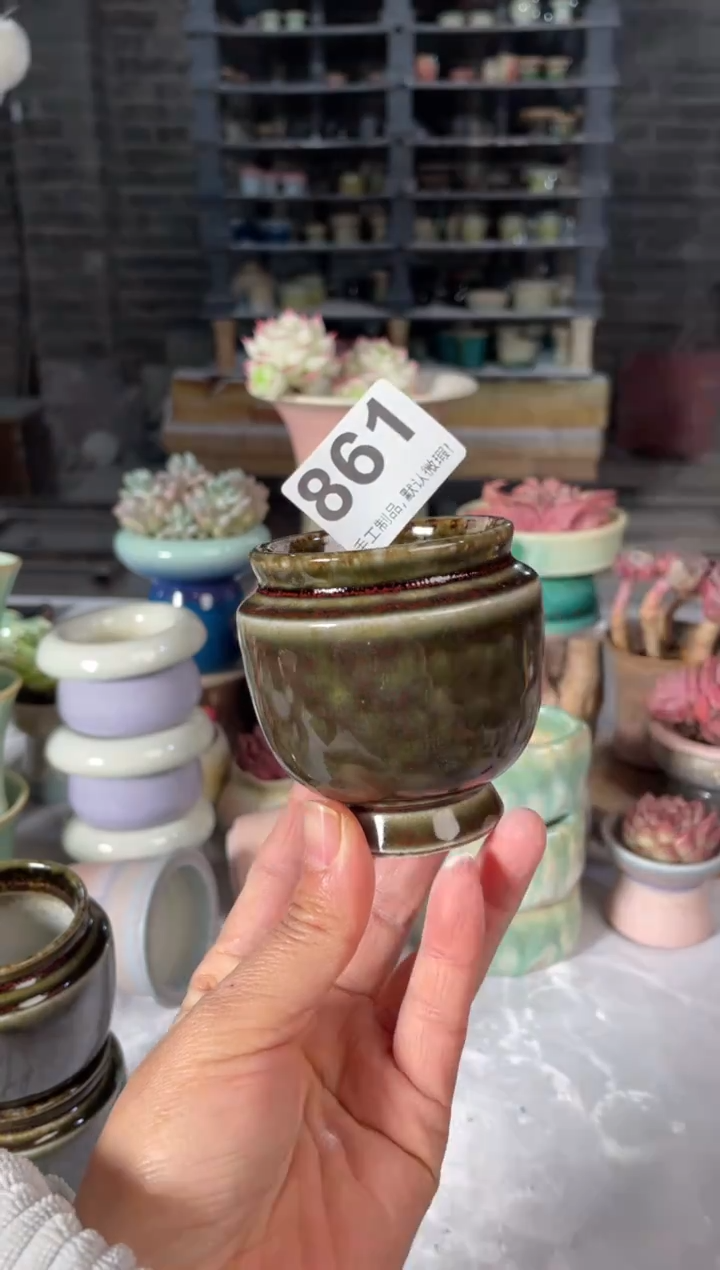 瓷片861小芳直播编号