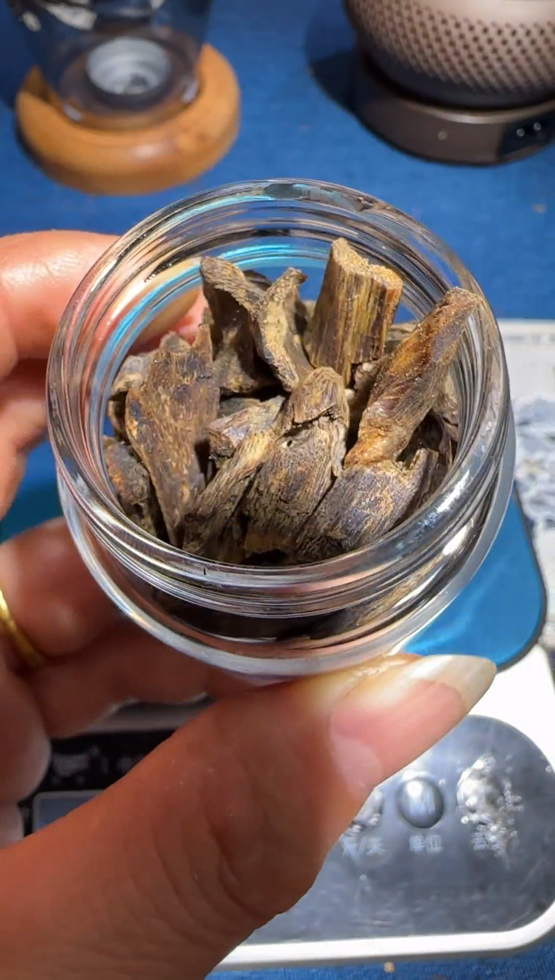 【闪购商品】沉香手把件白露沉水壳子料20g