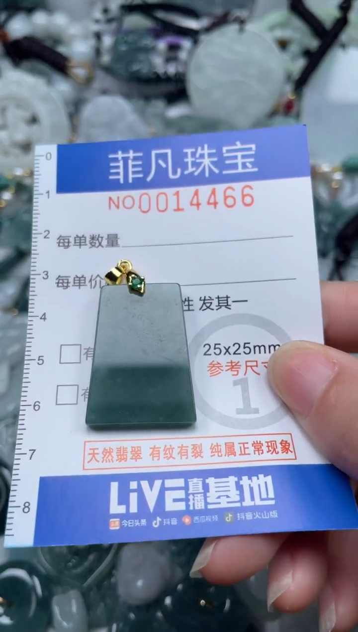 颈饰未镶嵌翡翠14466